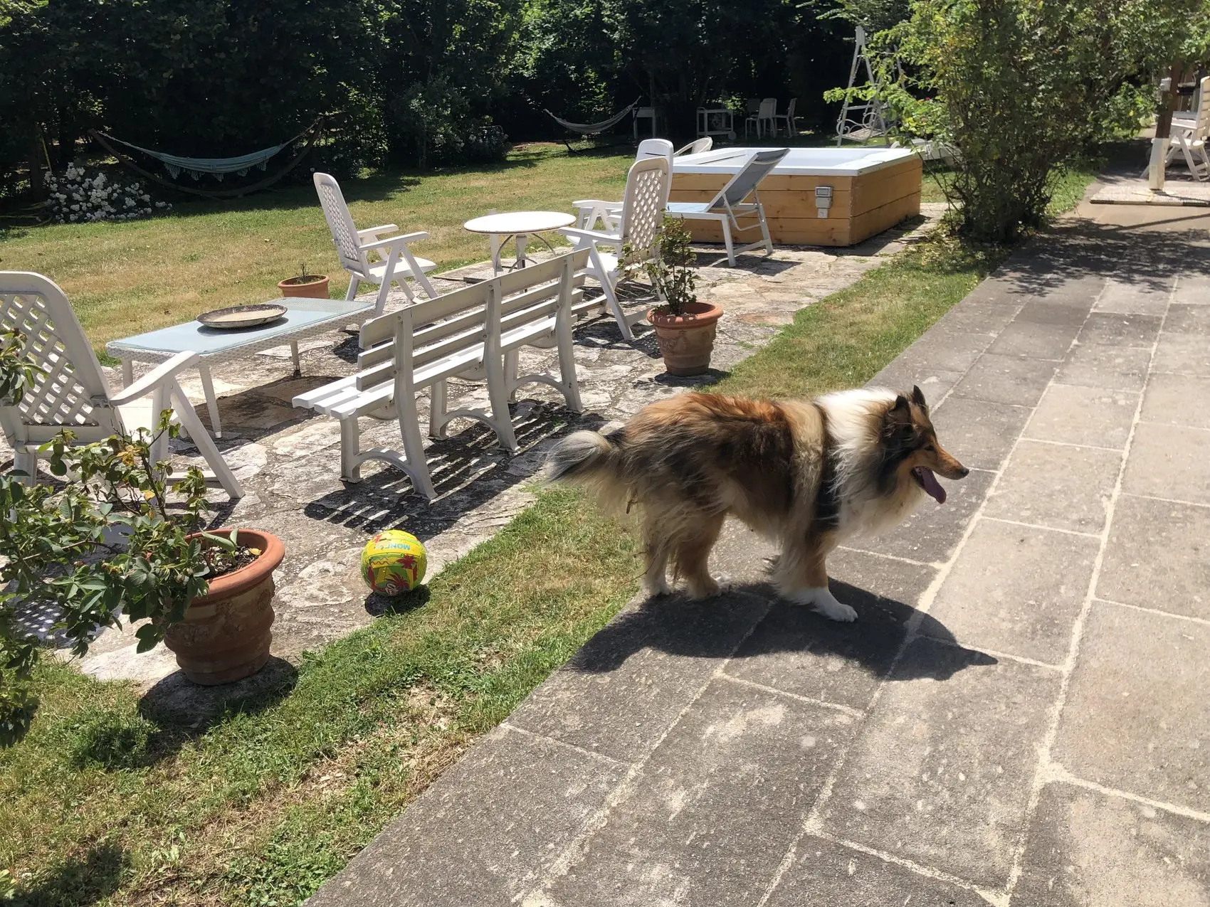 In giardino, vicino ai lettini