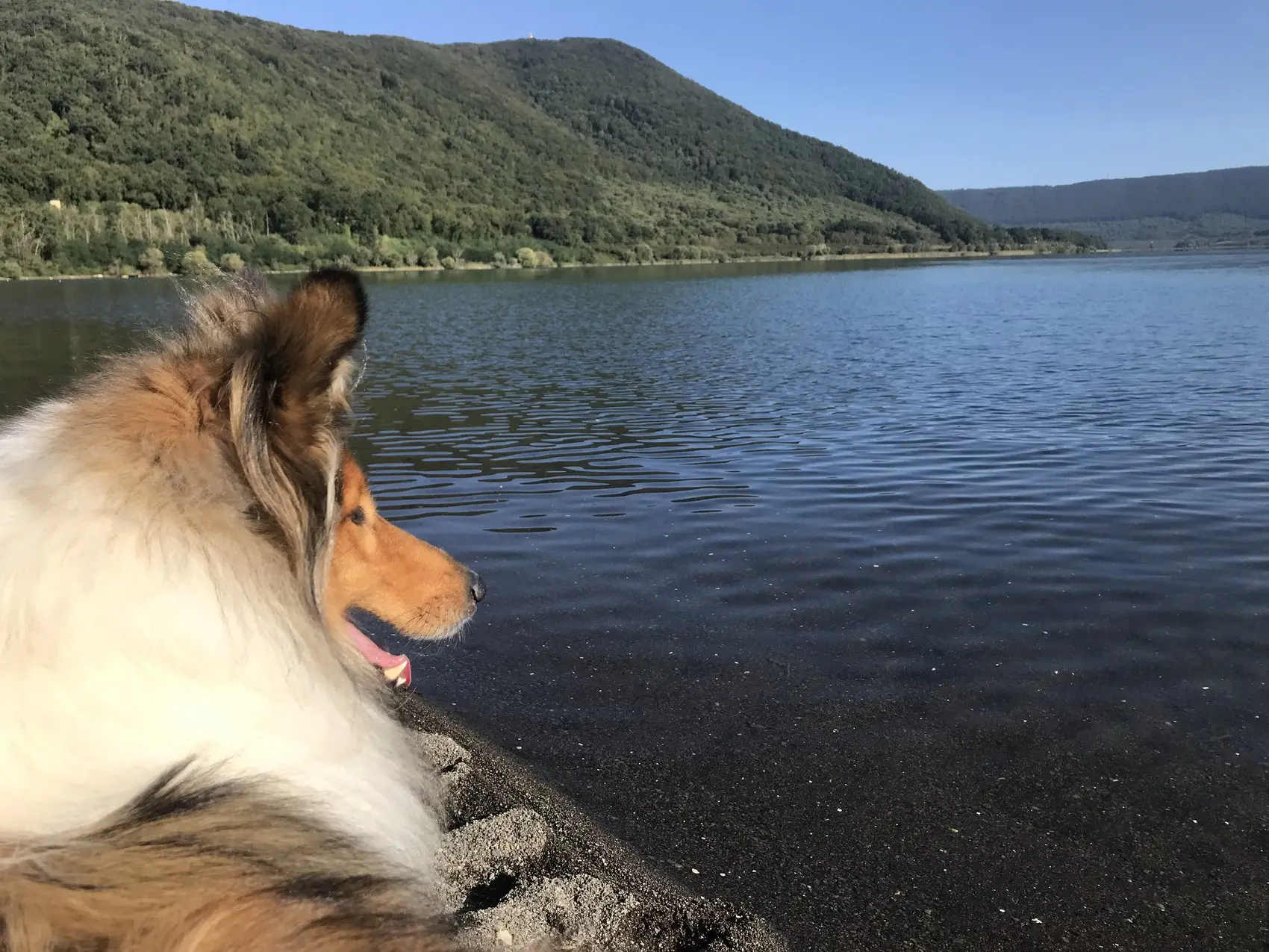 Sulla riva del Lago di Vico