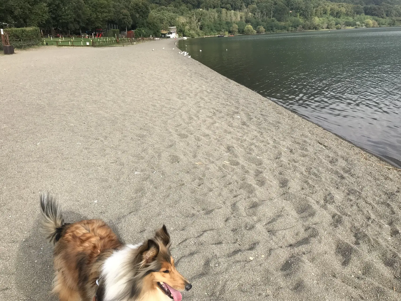 Sulla spiaggia del Lago di Vico