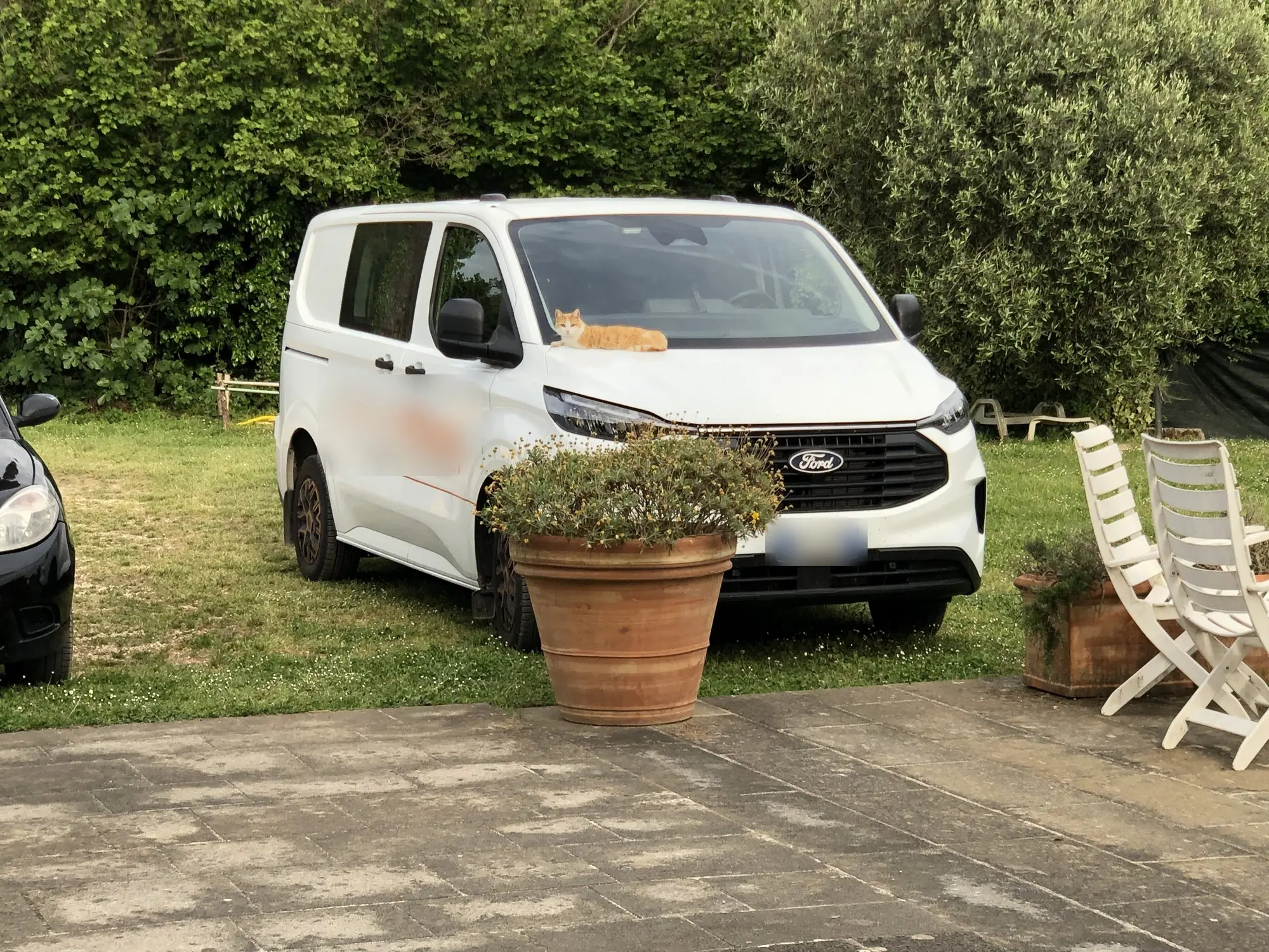 A work van on the lawn at Casale Fedele, with the cat on the bonnet