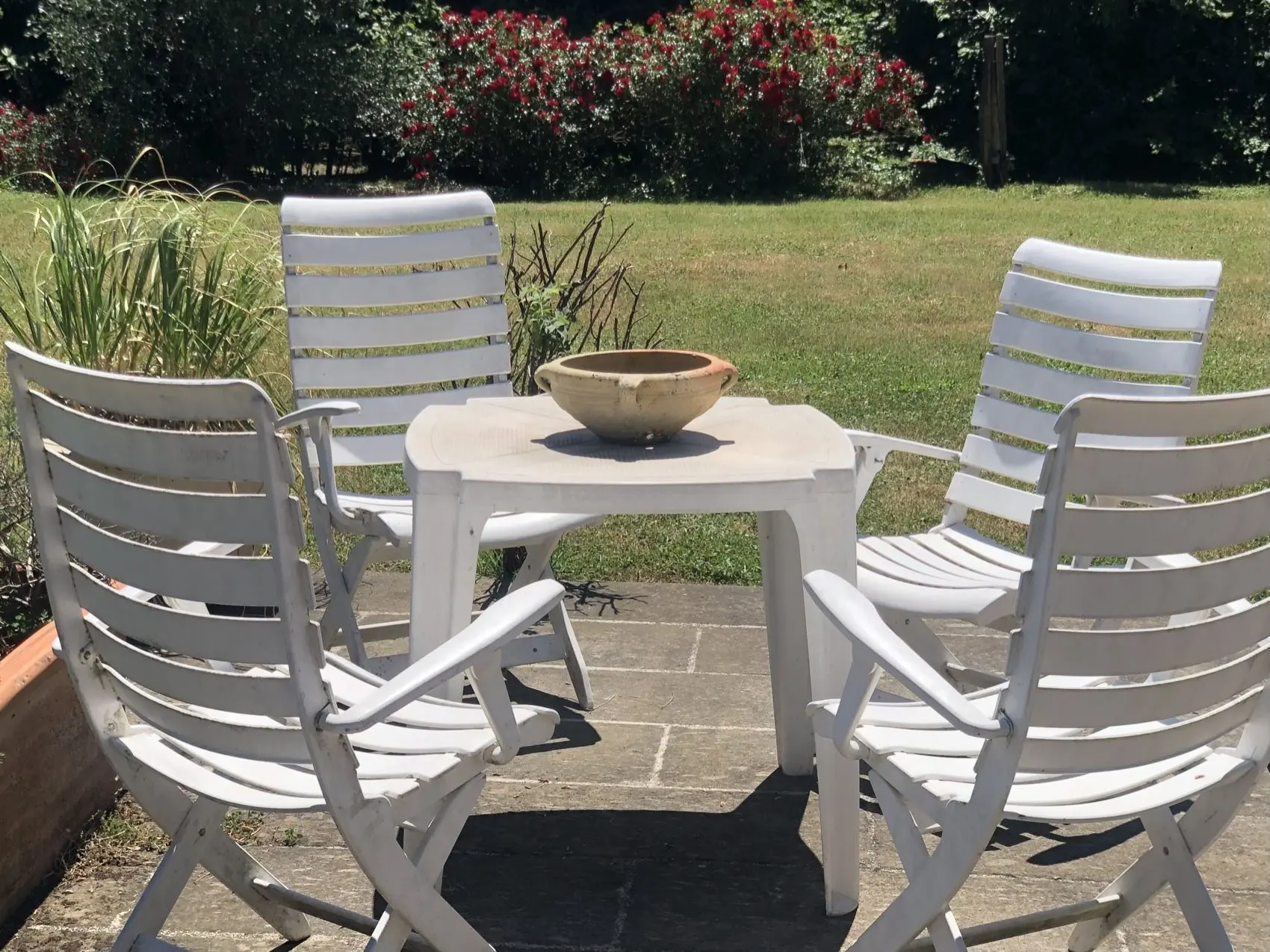 White chairs and a table on the lawn, with red roses behind