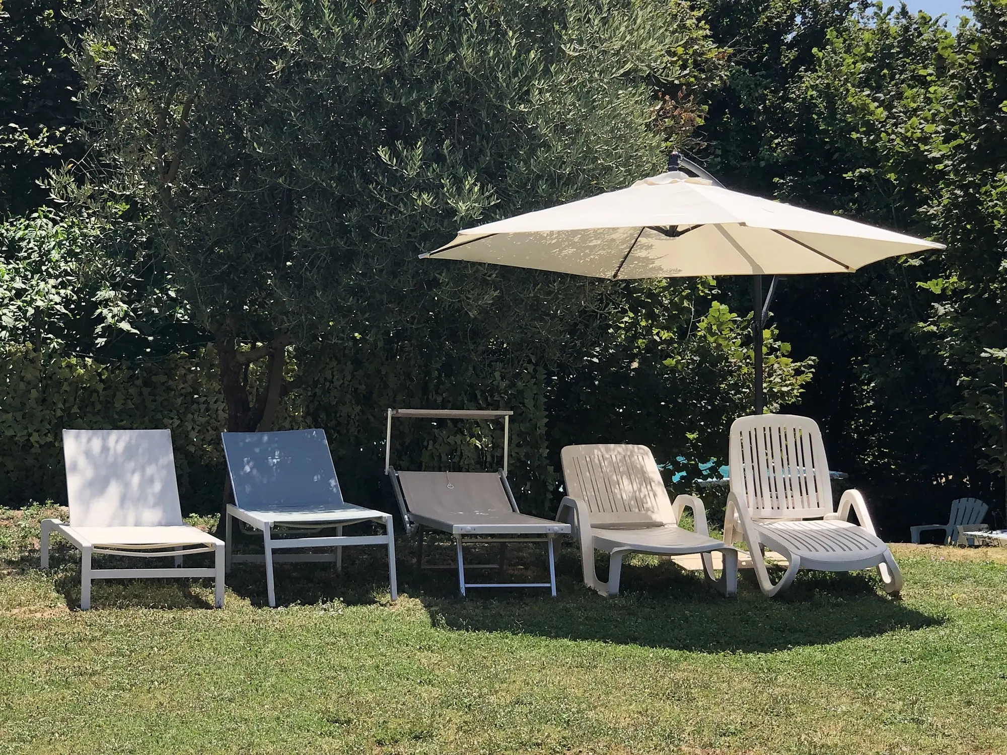 Loungers under the parasol in the garden