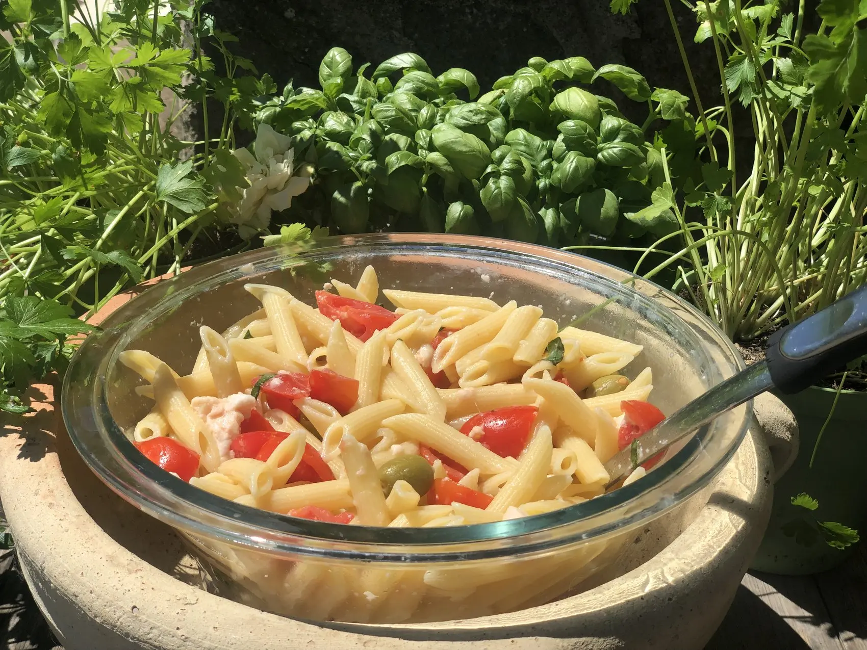 Pasta fredda con pomodorini e basilico